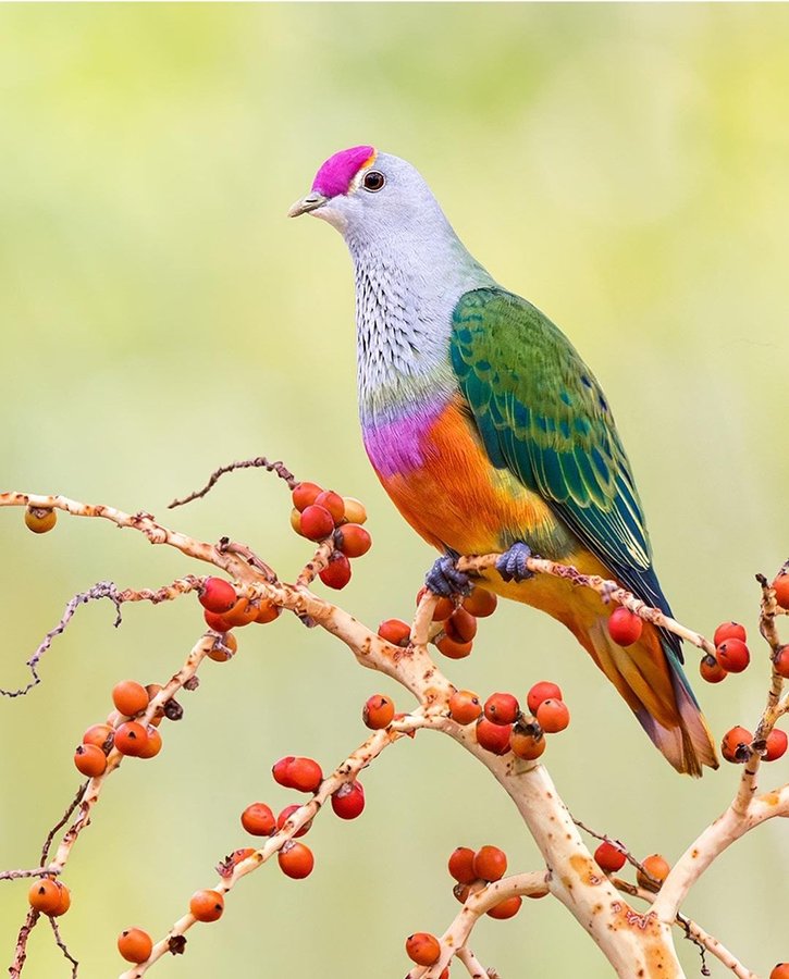 حفاظت شده: ارزو های دست نایافته